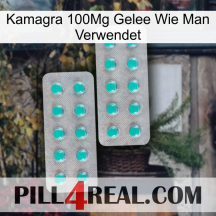 Kamagra 100Mg Jelly How To Use 29